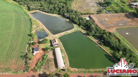 Chácara à venda - SANTA ROSA DO OCOY...