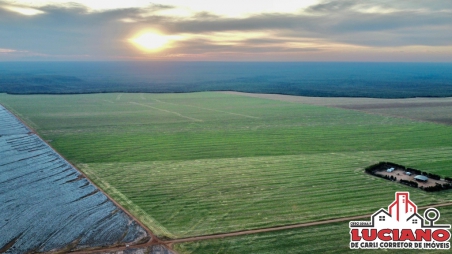 Fazenda à venda - SAPEZAL - MATO GROSSO