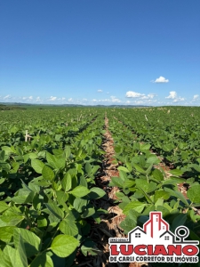 Chácara à venda - SÃO MIGUEL DO IGUAÇU