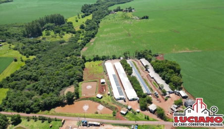 Chácara com aviários à venda - SÃO...