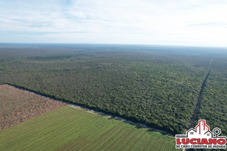 Fazenda à venda - SAPEZAL - MATO GROSSO